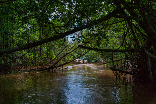 Bentota Lagoon